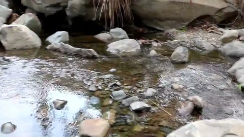 Catching crab in water & crab boiled on clay for food - Cooking crab eating delicious #1822 1