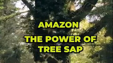 The Power of Tree Sap