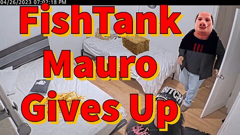 FishTank Live Mauro Gives Up