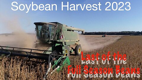 Soybean Harvest 2023: Last of the Full Season Beans