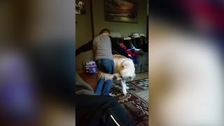 Dog Chases His Own Tail Around His Young Human Friend