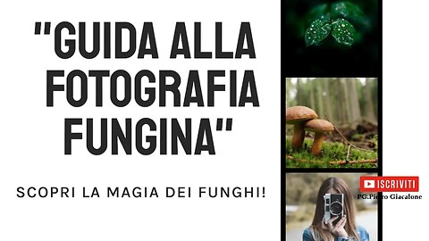 Fotografia Guida alla fotografia fungina