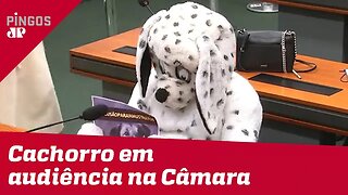 Cachorro de pelúcia participa de audiência na Câmara