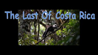 Exploring Costa Rica - A Photographer Abroad Part 6