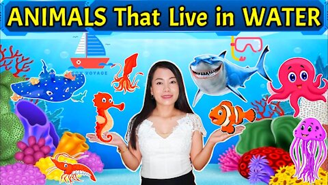 Animals live in the Water