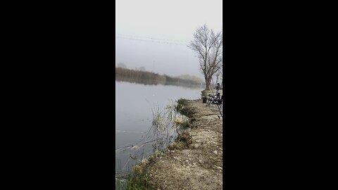 Trout Fishing #trout #troutfishing #fishingislife #fishing