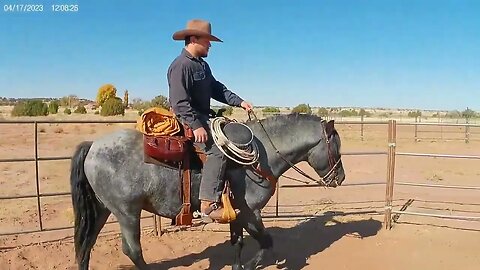 Horse Riding / Training