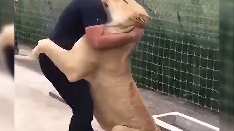 Animals' feelings for people are always so pure