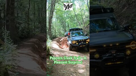Hidden Gem of a Trail for Overlanders | Popcorn Creek Trail | Clayton, GA #shorts