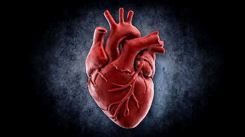 Exploring the Intricacies of Heart Function@laymanlifelines