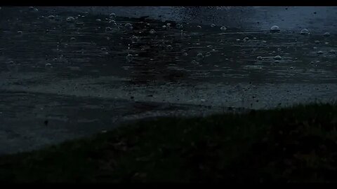 Rain Falling on the Street | 10 hour video