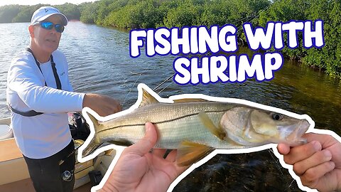 Fishing with Shrimp on my Jon Boat | Florida Keys {Catch and Cook}
