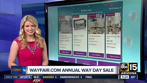 Wayfair.com annual Way Day sale!