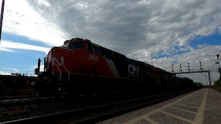 CN 2835 & CN 2800 Locomotives CN Train 396 Manifest Train Eastbound In Ontario