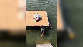 Hilarious Dock Breakage Fail