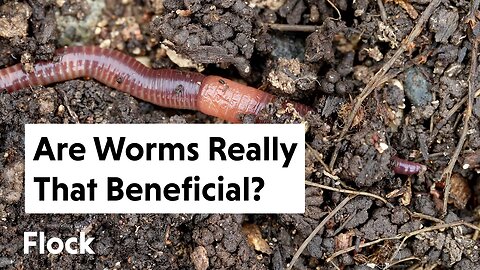 Are WORMS Really Good for the Soil? — Ep. 190