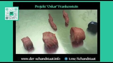 Projekt Oskar Frankenstein