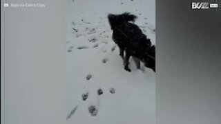 Elle découvre la neige pour la première fois