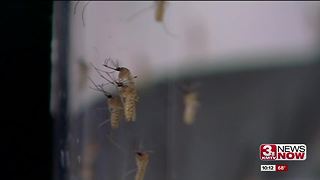 Douglas County records first West Nile Death