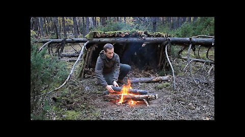 Bushcraft Jungle Survival with a Knife, Overnight in a Natural Shelter, Edible Mushrooms