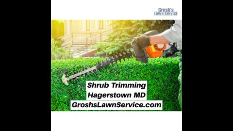 Shrub Trimming Contractor Hagerstown Maryland