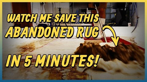 Rescuing This Abandoned Rug | Satisfying Carpet Cleaning Time lapse