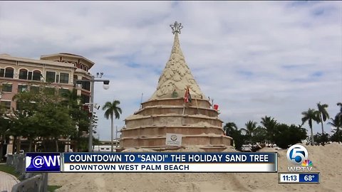 'Sandi' the sand tree lighting scheduled for Thursday night