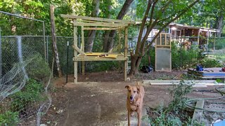 DIY First Time Chicken Coop Build. Part 1