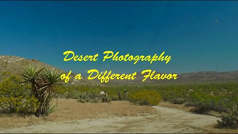 Desert Photography of a Different Flavor