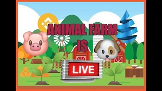 ANIMAL FARM IS LIVE!! LET'S START THIS JOURNEY TO THE MOON TOGETHER!! #NFA ^_^