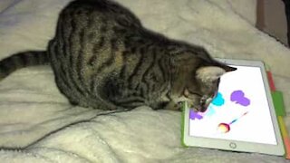 Un chat joue à la souris sur un iPad