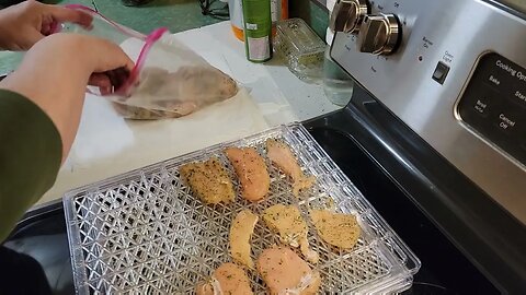 Today I'm Making Chicken Chips Jerky