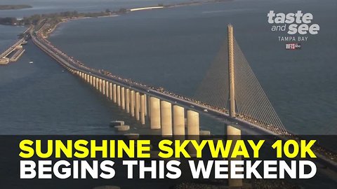 Sunshine Skyway 10K begins this weekend | Taste and See Tampa Bay