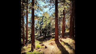 Backroad to Big Bear Lake