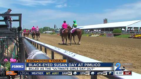 It's all about the ladies for Black-Eyed Susan Day at the Pimlico