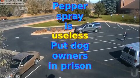 Pepper Spray is Useless and Put Dog Owners in Prison