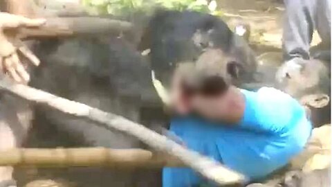 This Couple Was Mauled & Devoured By a Rabid Sloth Bear