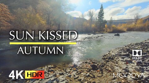 4K HDR Nature Video - Sun Kissed Autumn River - Mental Detox