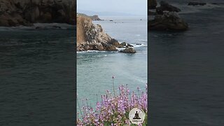 Ocean Waves at Fort Ross State Park, California #calming #relaxing