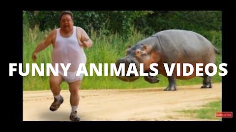Funny diferrent animals chasing and scaring people 2021-Parte 1