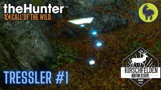 The Hunter: Call of the Wild, Tressler #1 Hirschfelden (PS5 4K)