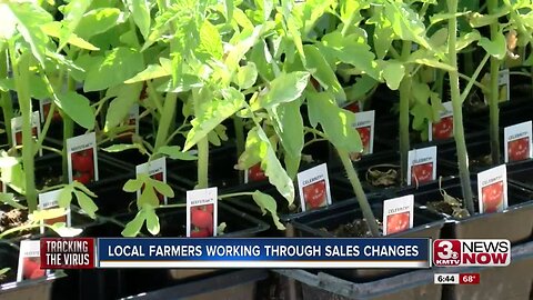 Local farmers working through sales changes