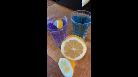 Magic Butterfly Tea Turns Purple with Lemon