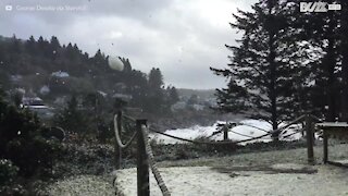 Vento arrasta espuma do mar e faz "nevar" em Oregon!