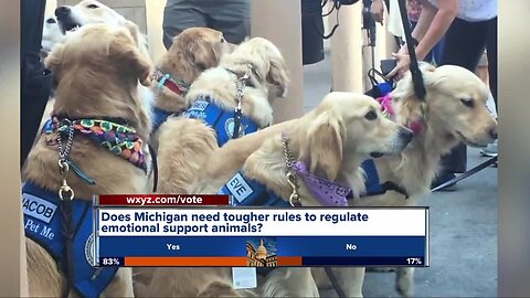 New bill would crack down on emotional support animals in Michigan