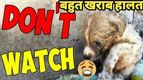 DON'T WATCH 😭 RESCUE VEDIO,बहुत खराब हालत.