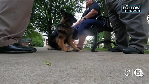 Nonprofit offers to donate dog to Bedford Heights PD following K-9 controversy