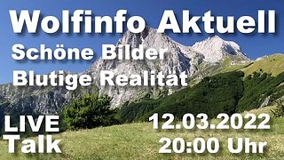 Wolfinfo Aktuell LIVE Talk 20 ( Schöne Bilder / Blutige Realität )