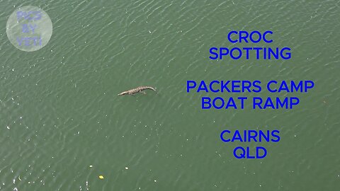 CROCODILE SPOTTING AT PACKERS CAMP BOAT RAMP, CAIRNS, FNQ.