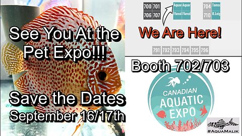 Come Buy Our Fish @ The Canadian Pet Expo!!! Save the Dates September 16th and 17th! 💯🇨🇦